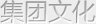 集团文化