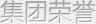 集团荣誉